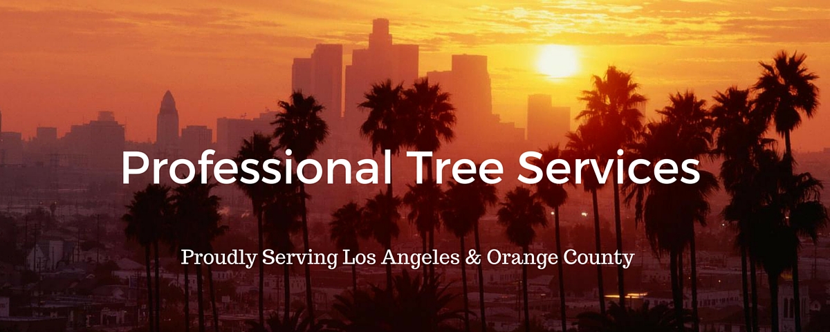 Tree services. Tree trimming & tree removal.