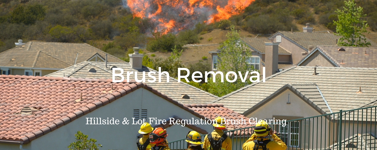 Brush Removal